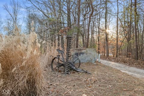 Yard at 6817 Siebert Trail, Nineveh, IN