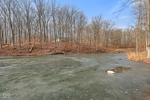Yard at 6817 Siebert Trail, Nineveh, IN