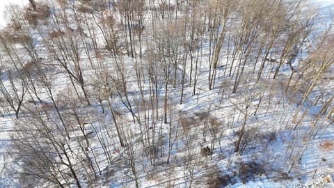 Photo of 8813 W 750 N, Commiskey, IN