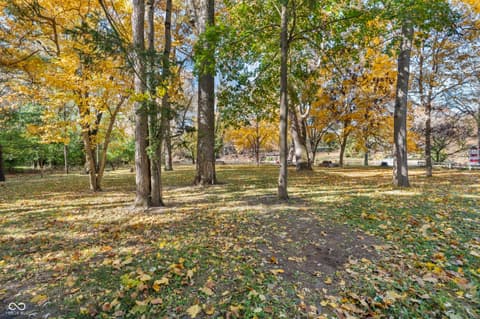 Yard at 7505 Terrace Beach, Indianapolis, IN