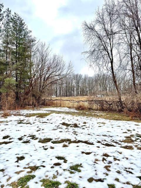 Yard at 5495 E Greensburg Road, Franklin, IN