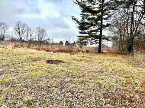 Yard at 5495 E Greensburg Road, Franklin, IN