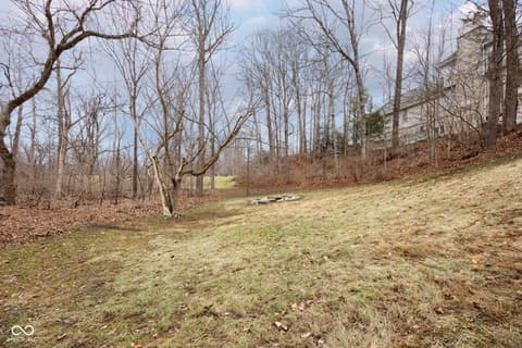 Yard at 4530 Chase Oak Court, Zionsville, IN