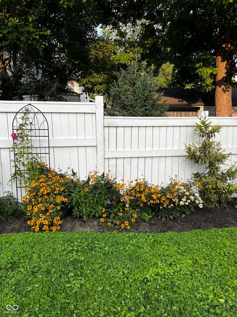 Yard at 373 E Burgess Avenue, Indianapolis, IN