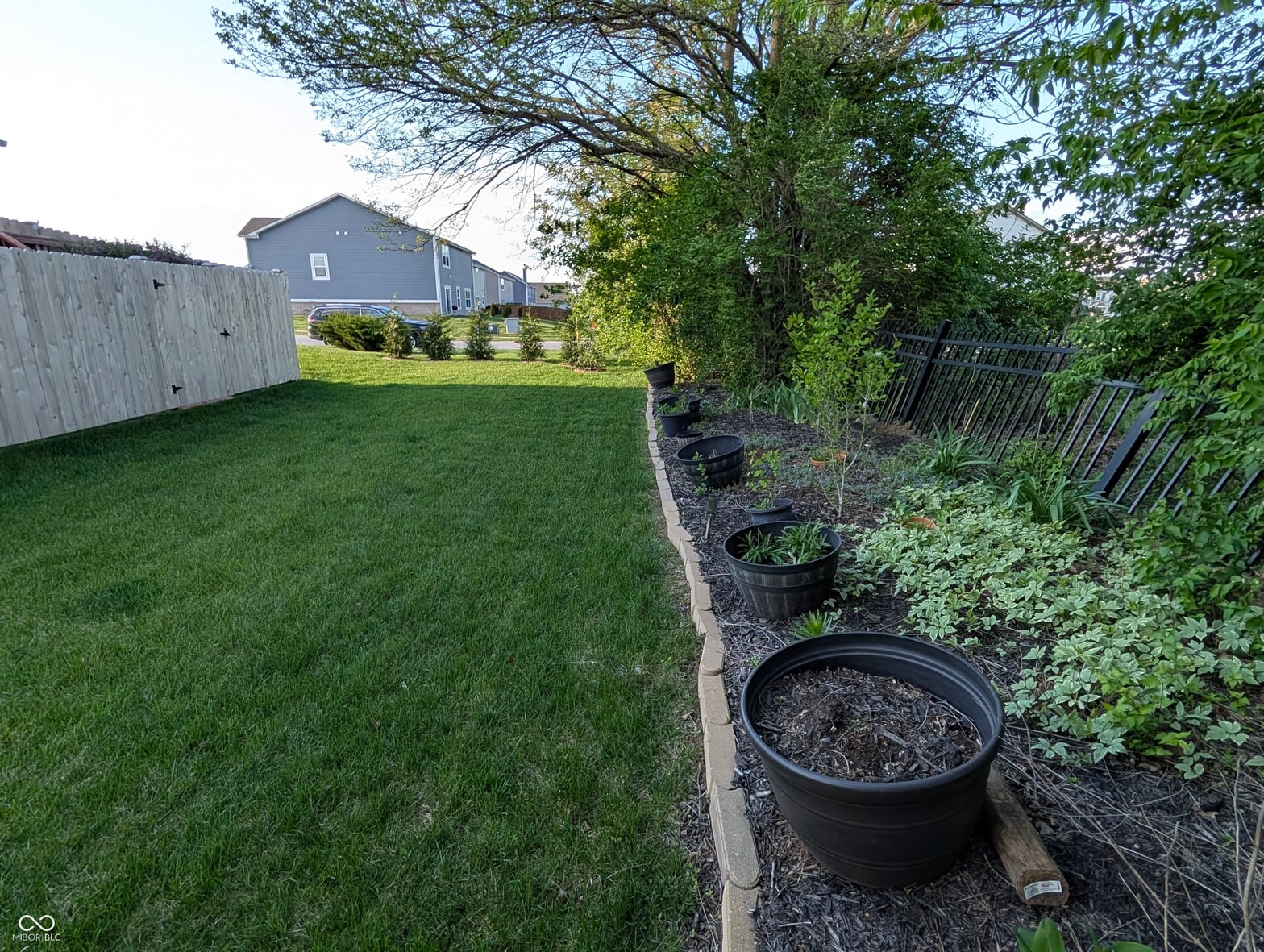 Photo 42