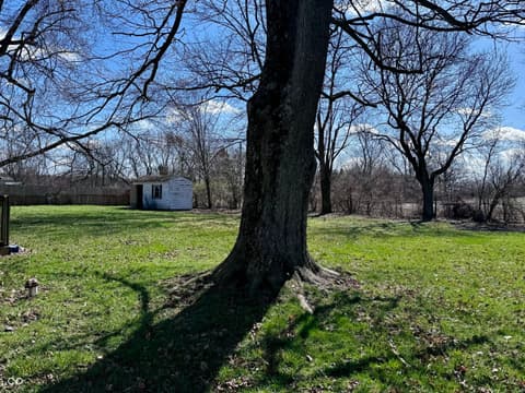Yard at 3837 W State Road 32, Westfield, IN — Spacious wooded lot with mature trees and open lawn.