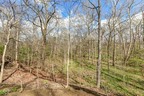 Backyard at 128 Somerset Court, Noblesville, IN