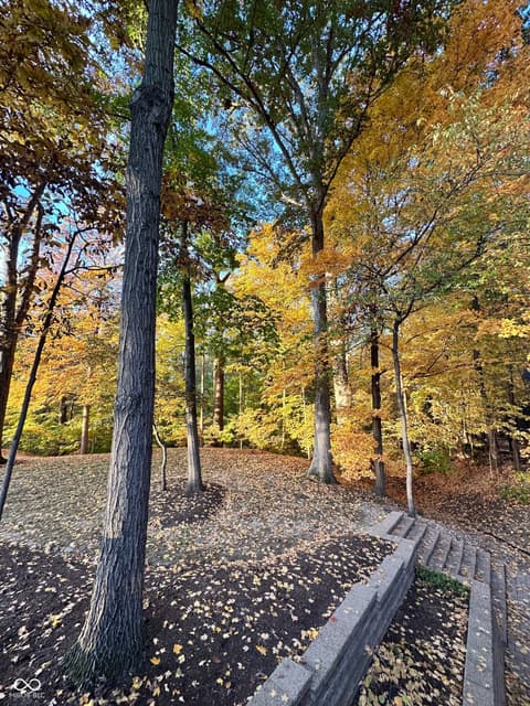 Backyard at 128 Somerset Court, Noblesville, IN