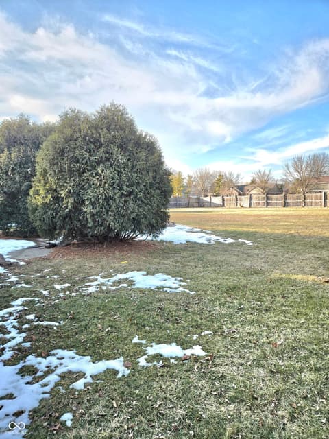 Yard at 810 Padre Lane, Greenwood, IN