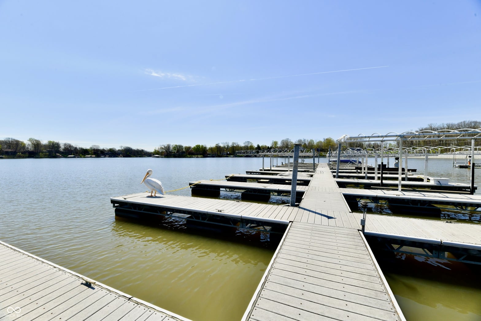 Dock