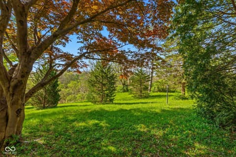 Yard at 1207 Van Buskirk Road, Anderson, IN