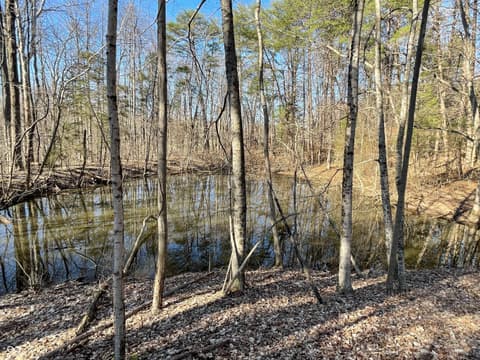 Photo of 7899 N Briarhopper Road, Monrovia, IN