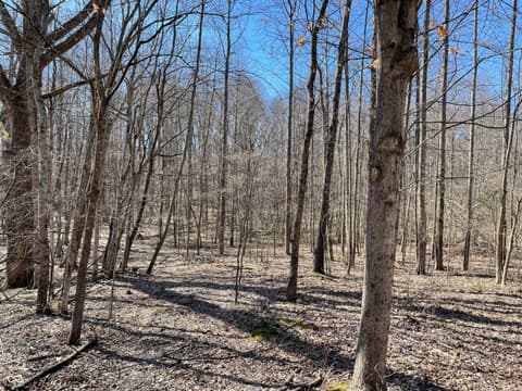 Photo of 7899 N Briarhopper Road, Monrovia, IN