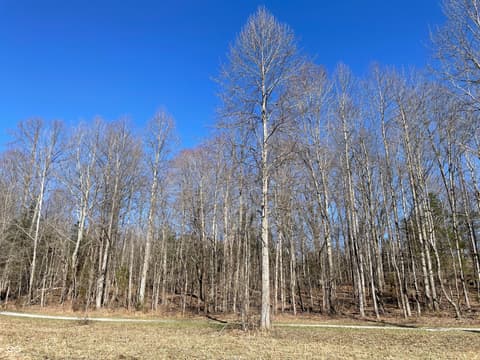 Photo of 7899 N Briarhopper Road, Monrovia, IN