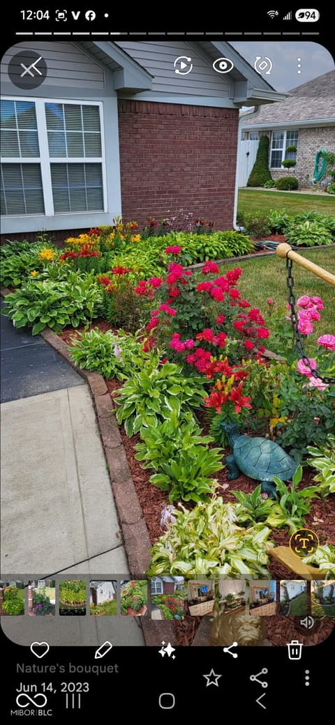 Yard at 1005 Honeysuckle Court, Mooresville, IN