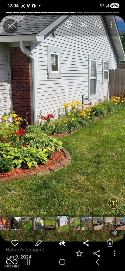 Yard at 1005 Honeysuckle Court, Mooresville, IN