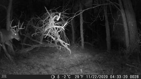 Photo of 13455 N Co Rd 425 E, Roachdale, IN