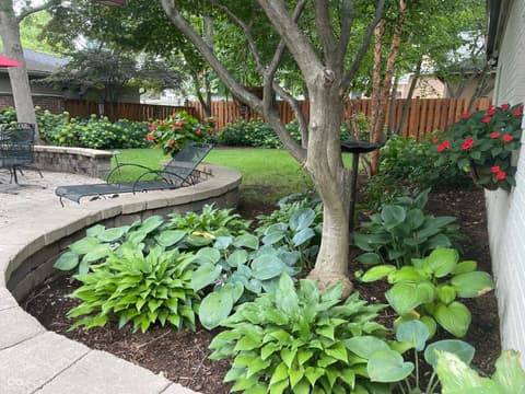 Yard at 5207 N Washington Boulevard, Indianapolis, IN