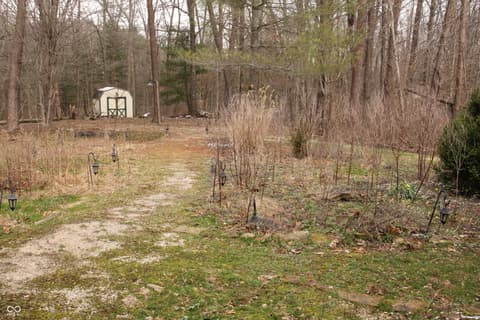 Yard at 187 Cabin Creek Lane, Morgantown, IN