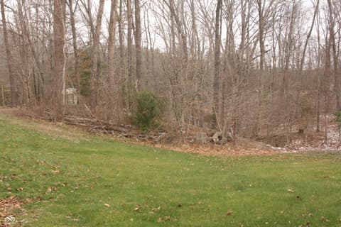 Yard at 187 Cabin Creek Lane, Morgantown, IN
