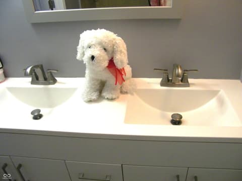 Bathroom at 4278 Woodsage Trace, Indianapolis, IN