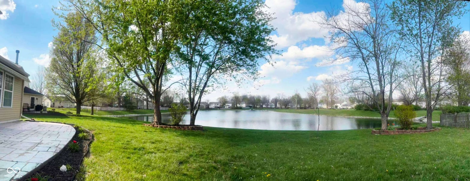 Pond