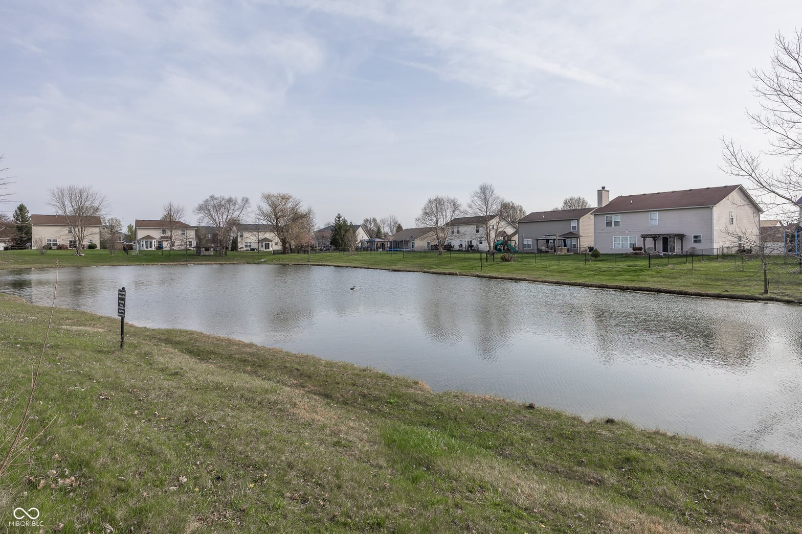 Pond