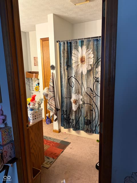 Primary bathroom at 1207 Sugar Hill Drive, Rushville, IN