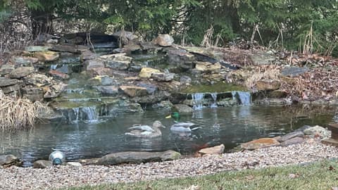 Photo of 4103 Toni Drive, Kokomo, IN