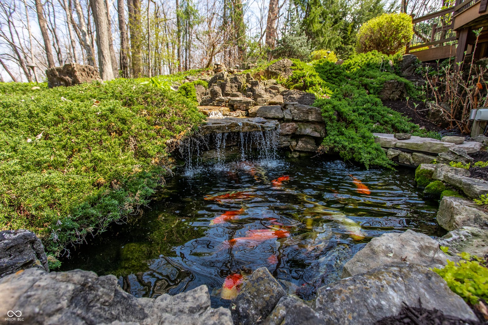 Pond