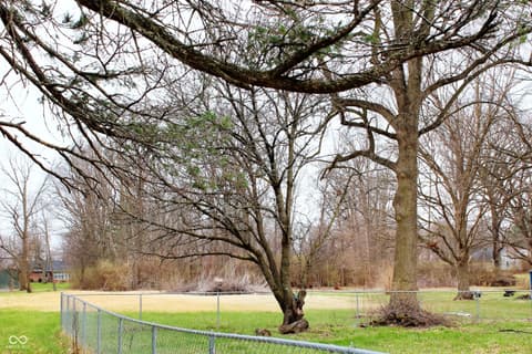 Yard at 1035 N Scatterfield Road, Anderson, IN