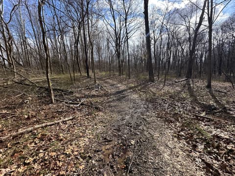 Photo of 111 W Everton Road, Connersville, IN