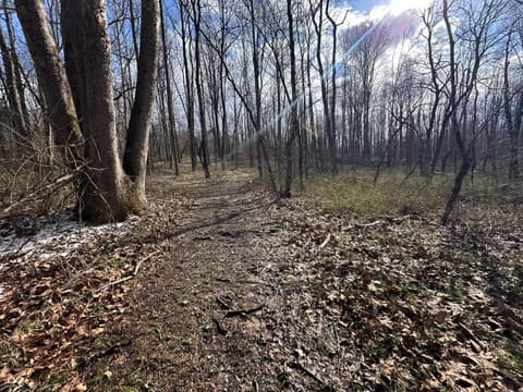 Photo of 111 W Everton Road, Connersville, IN