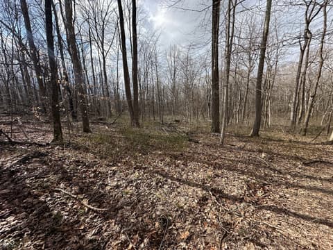 Photo of 111 W Everton Road, Connersville, IN