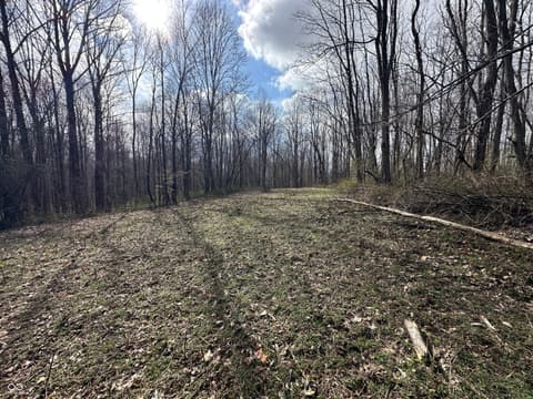 Photo of 111 W Everton Road, Connersville, IN