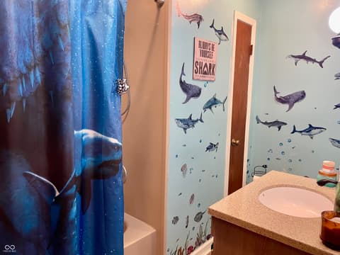 Bathroom at 700 Albin Pond Road, Greencastle, IN
