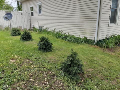 Photo of 501 W Jefferson Street, Spencer, IN