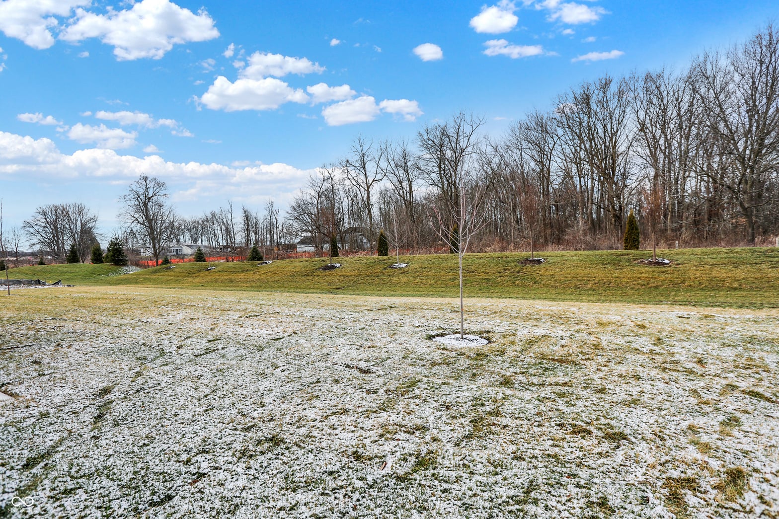 Yard at 19488 Atwater, Sheridan, IN