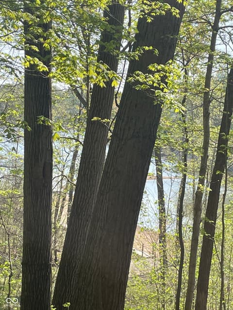 Photo of 7665 E Butterman, Rockville, IN