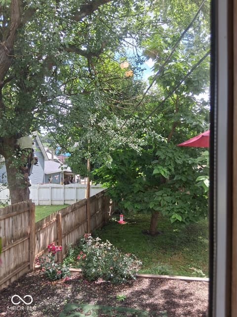 Yard at 53 Main Avenue, Frankfort, IN