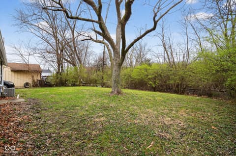 Yard at 4101 Biscayne Road, Indianapolis, IN