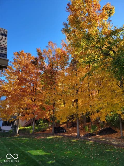 Photo of 11691 Diamond Pointe Court, Indianapolis, IN