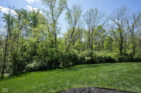 Yard at 7401 Cassilly Court, Indianapolis, IN