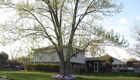 Photo of 8437 Lockwood Lane, Indianapolis, IN