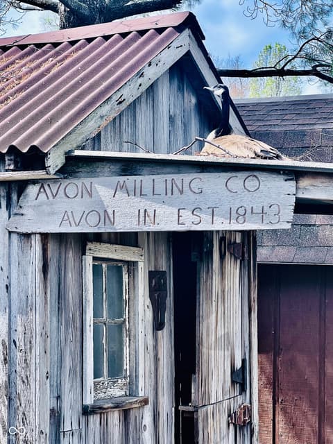 Out Buildings — 7989 E County Road 200 N, Avon, IN