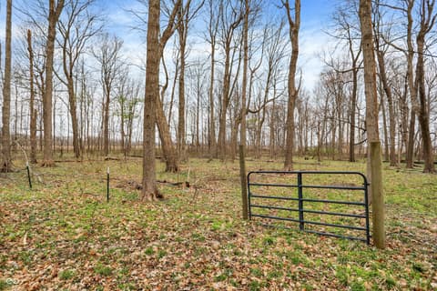 Photo of 1947 W 1100 N, Knightstown, IN