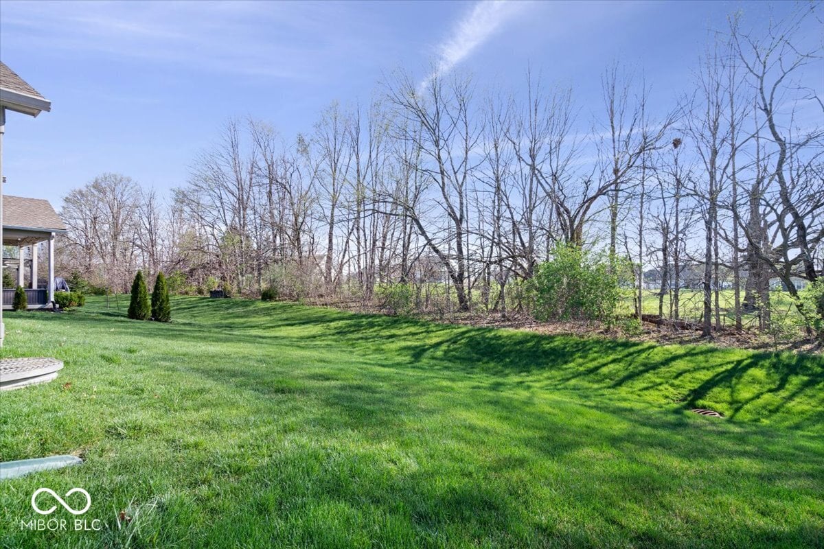 Yard