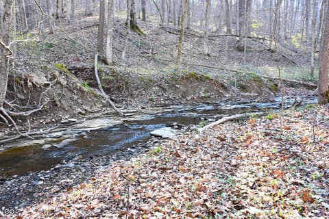 Photo of 7730 Bear Creek Road, Morgantown, IN