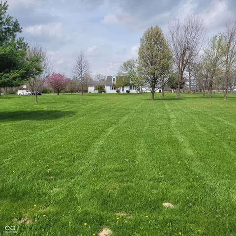 Yard at 7960 W 800 N, Fairland, IN