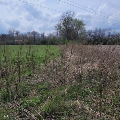 View — 7960 W 800 N, Fairland, IN